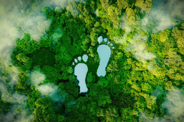 Karbon Ayak Izi Hakkinda Merak Edilenler 1